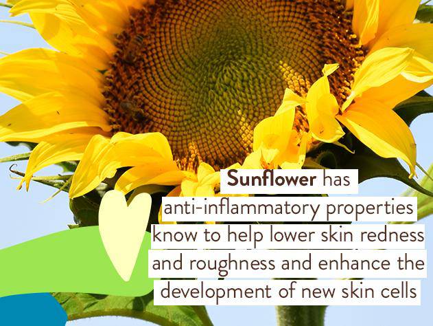 Sensitive Baby Mineral Sunscreen Lotion SPF50 - Image 5