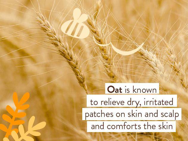 Moisturizing Oat & Calendula Miracle Face Cream - Image 7
