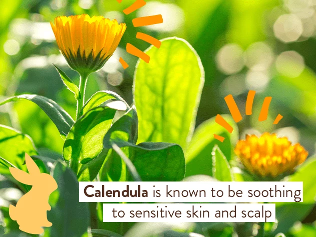 Moisturizing Oat & Calendula Shampoo & Wash - Image 9