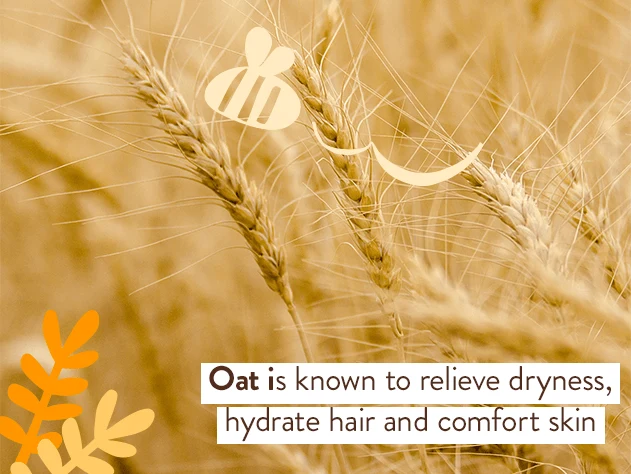 Moisturizing Oat Shampoo & Refill Set - Image 9